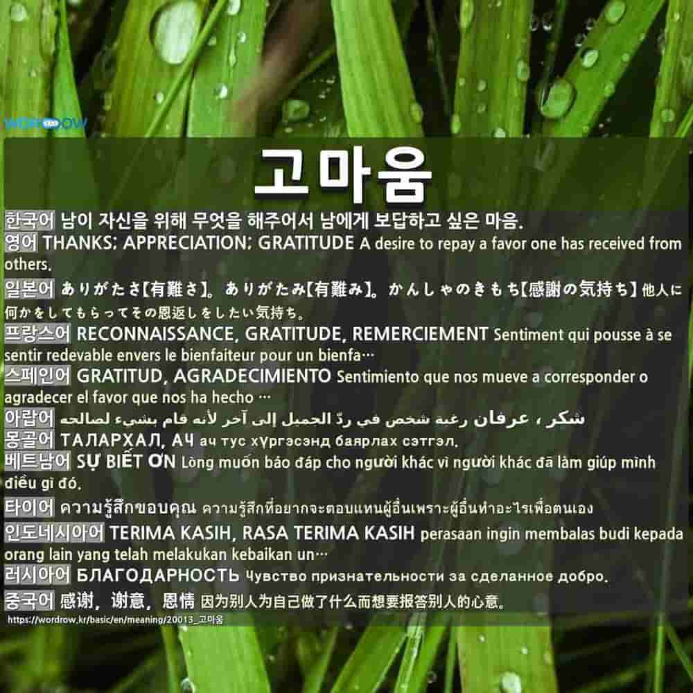 고마움: ありがたさ【有難さ】。ありがたみ【有難み】。かんしゃ