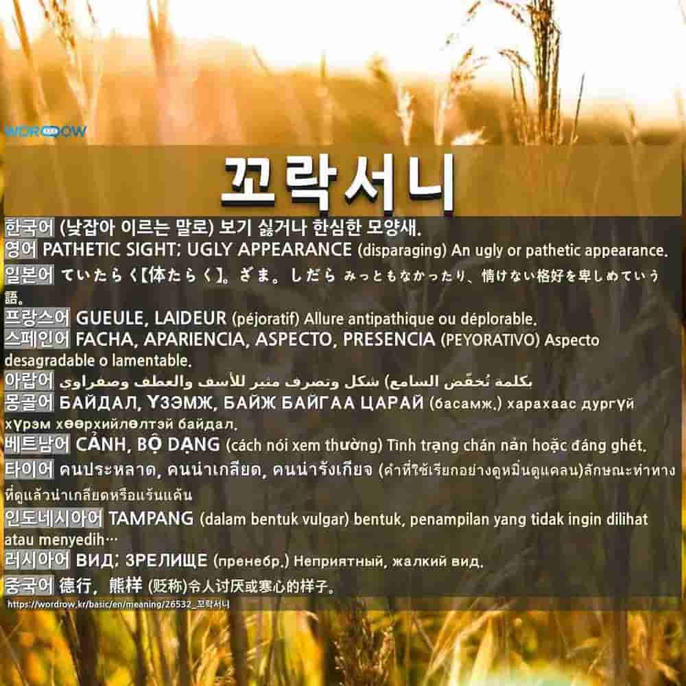 꼬락서니: PATHETIC SIGHT; UGLY APPEARANCE