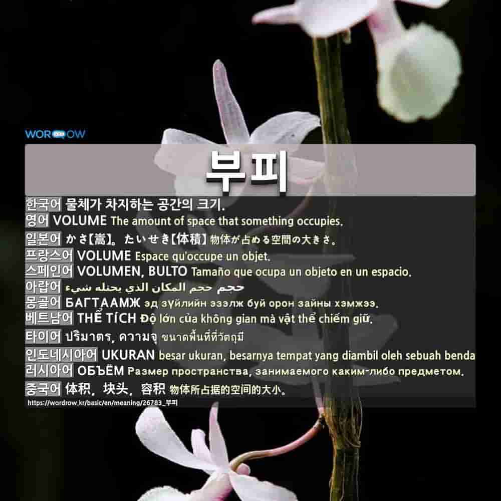 부피 かさ 嵩 たいせき 体積