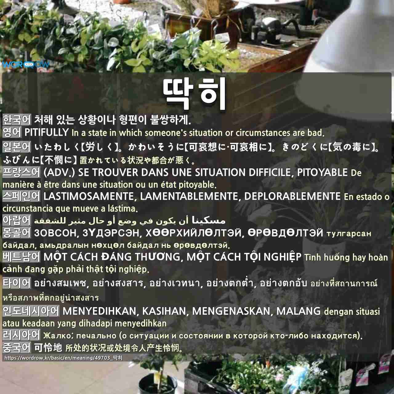 딱히 1 Một Cach đang Thương Một Cach Tội Nghiệp 2 Một Cach Nan Giải 딱히 1 Một Cach đang Thương Một Cach Tội Nghiệp 2 Một Cach Nan Giải