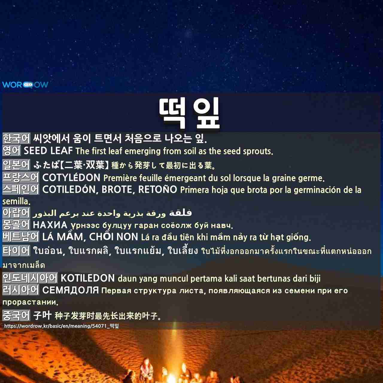 떡잎 ふたば 二葉 双葉