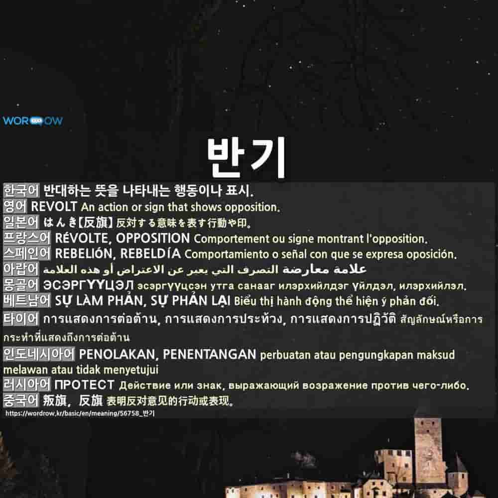 반기 はんき 反旗