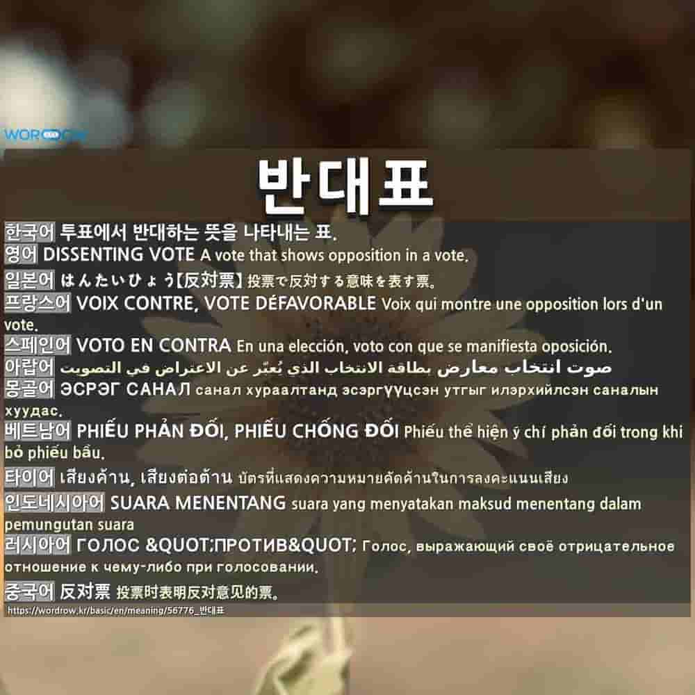 반대표 はんたいひょう 反対票