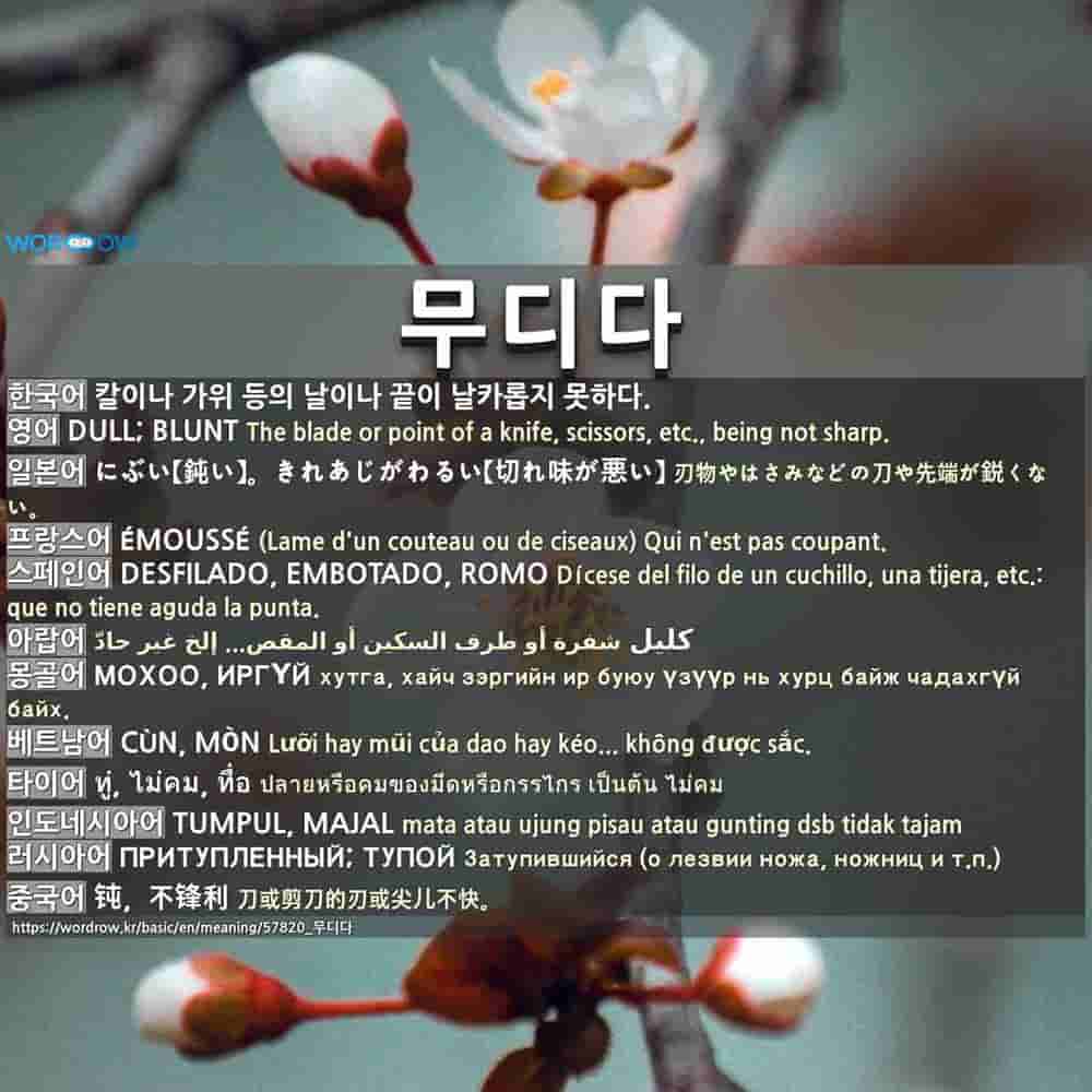 무디다 1 にぶい 鈍い きれあじがわるい 切れ味が悪い 2 にぶい 鈍い どんかんだ 鈍感だ 3 ぶっきらぼうだ