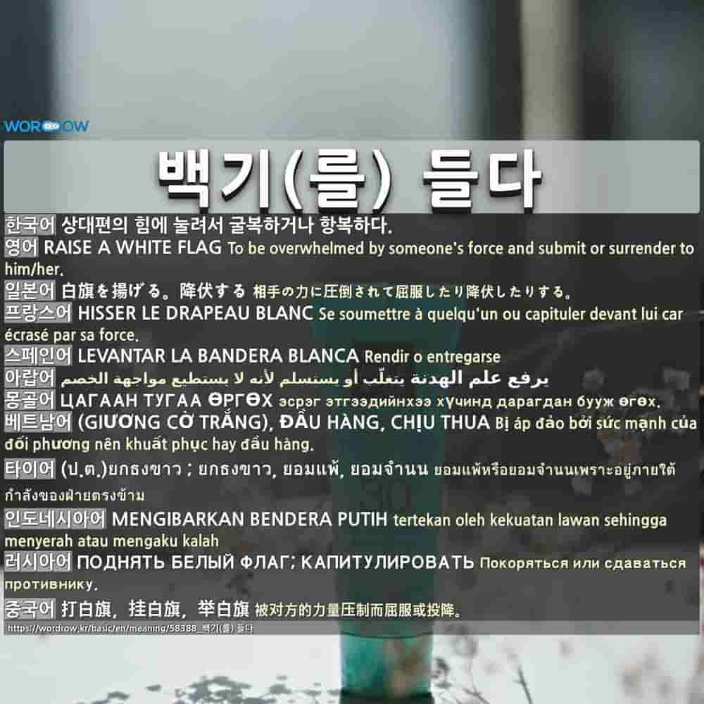 백기 를 들다 Raise A White Flag