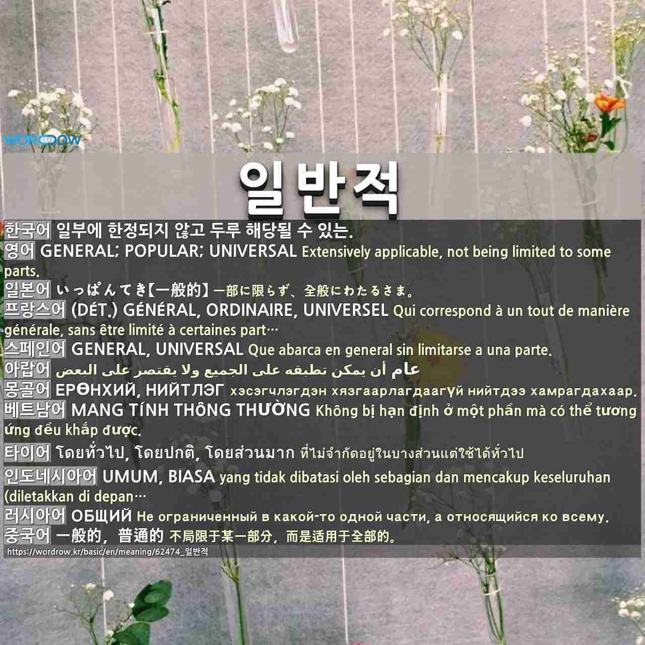 일반적: general; popular; universal,いっぱんてき【一般的】,(dét.) général, ordinaire, universel,general, universal,عام,ерөнхий, нийтлэг,mang tính thông thường,โดยทั่วไป, โดยปกติ, โดยส่วนมาก,umum, biasa,общий,一般的,普通的,