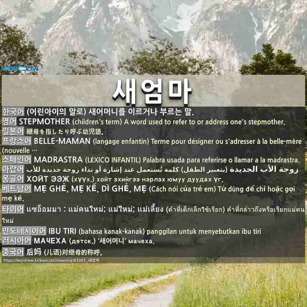 추천 영화
