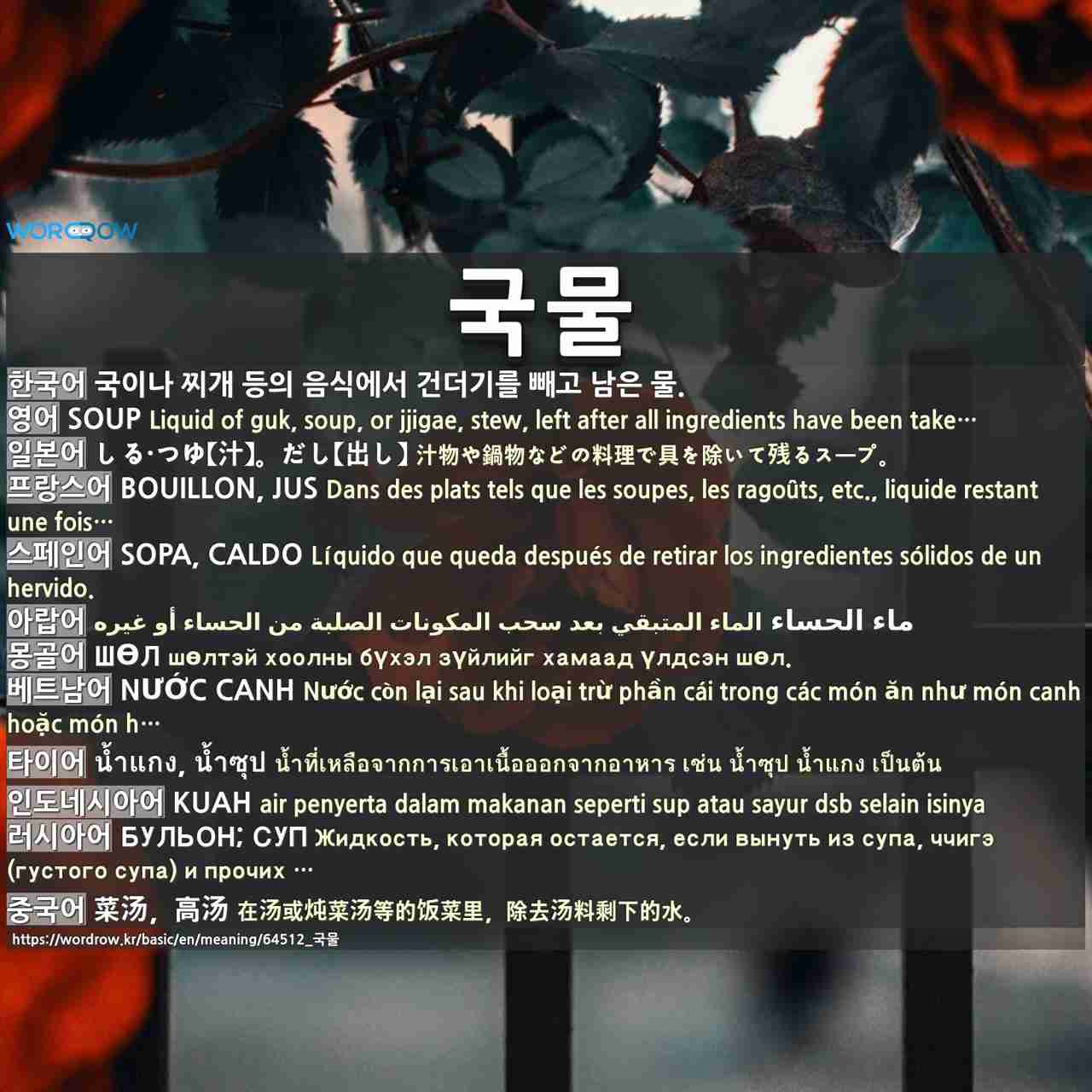 국물: (1)Nước Canh (2)Có Tý Nước Suýt