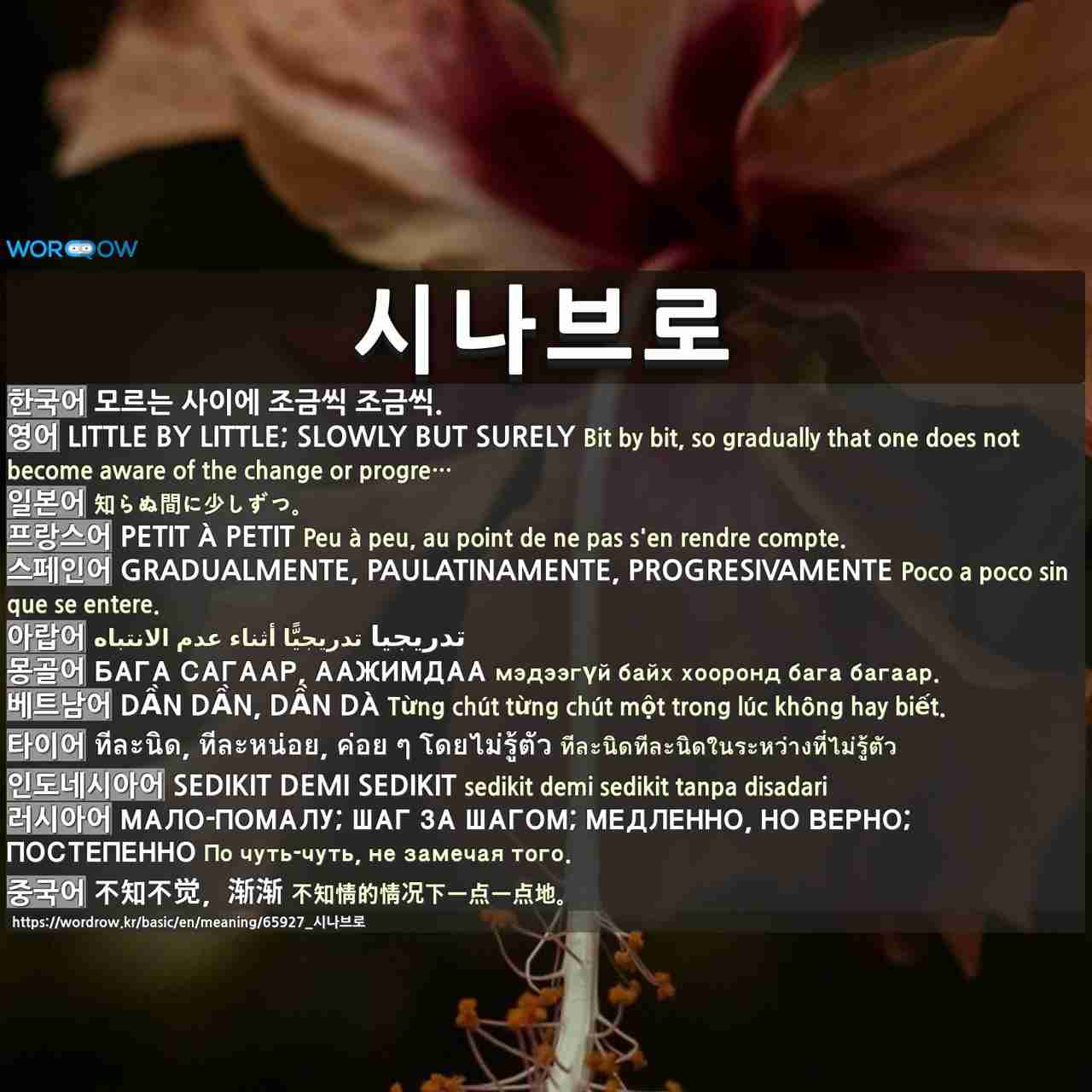 시나브로: LITTLE BY LITTLE; SLOWLY BUT SURELY