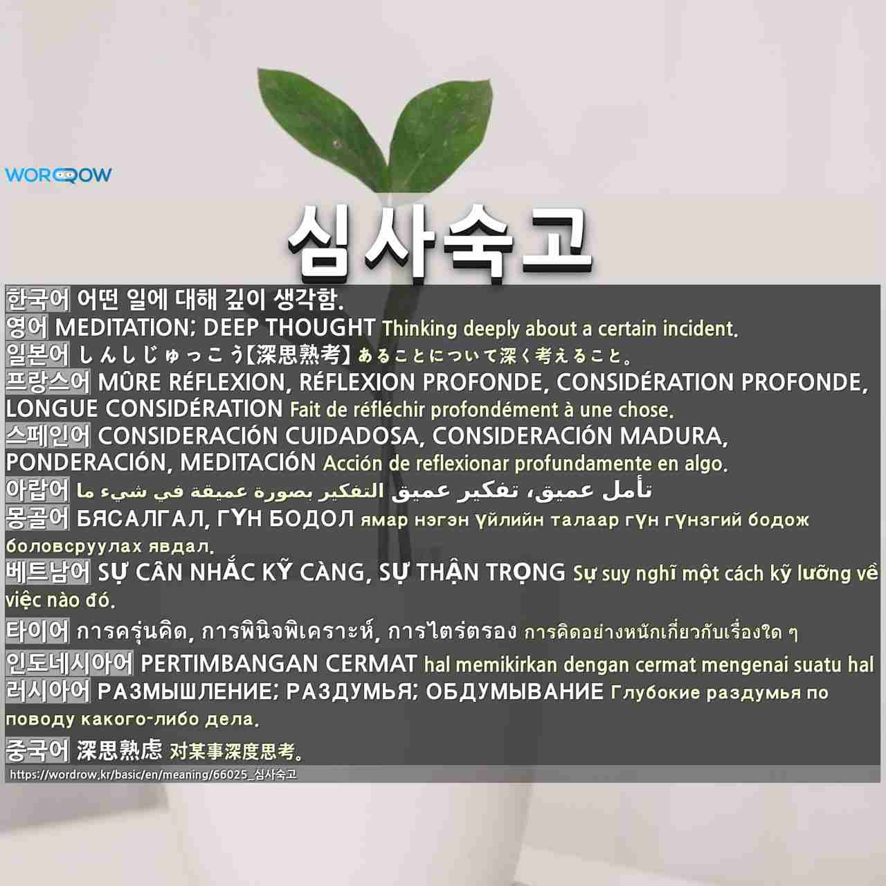 심사숙고 Meditation Deep Thought