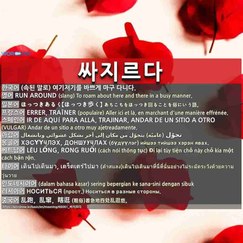 싸지르다: RUN AROUND