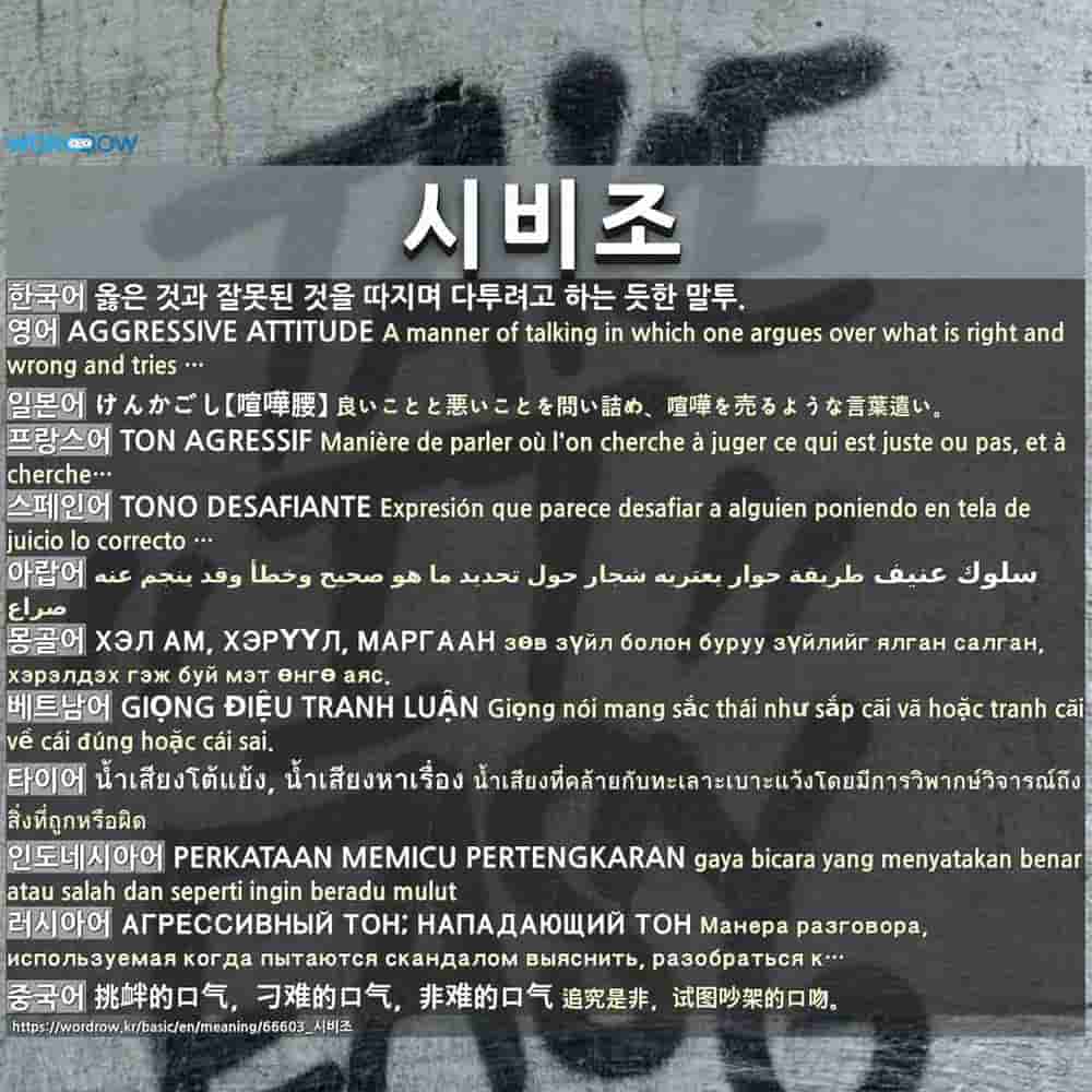 시비조 Aggressive Attitude
