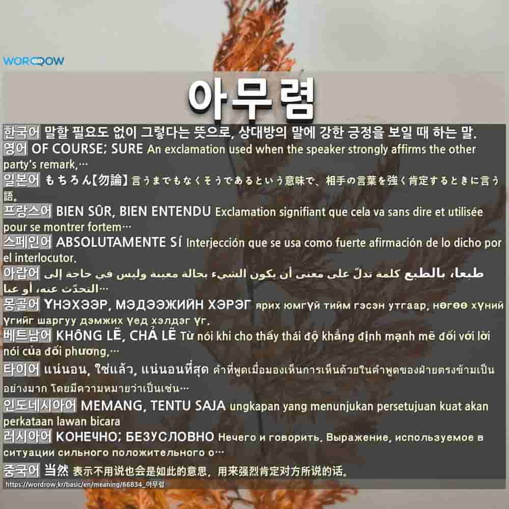 아무렴 もちろん 勿論