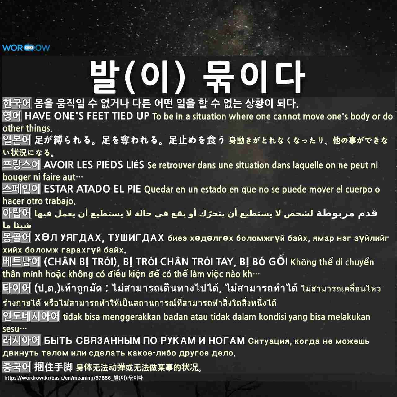 발 이 묶이다 足が縛られる 足を奪われる 足止めを食う