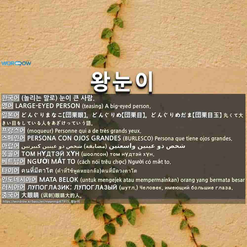 왕눈이 Large Eyed Person