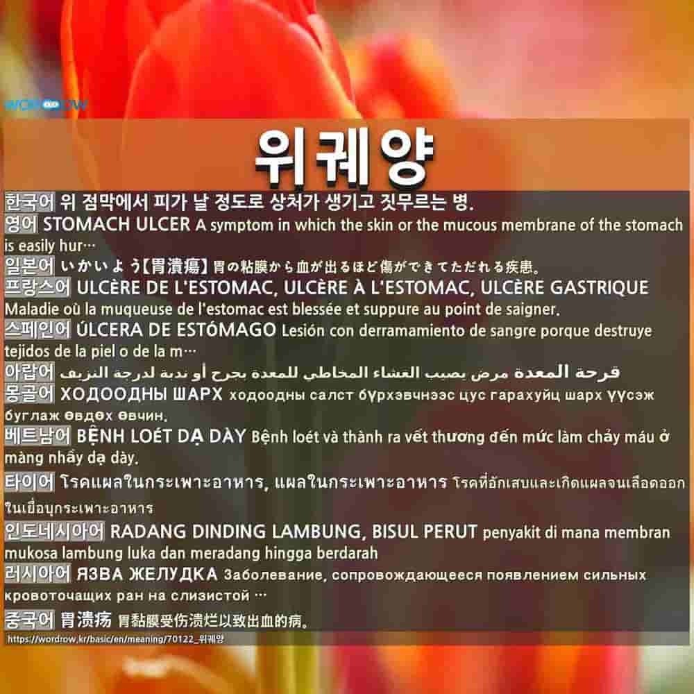 위궤양 いかいよう 胃潰瘍