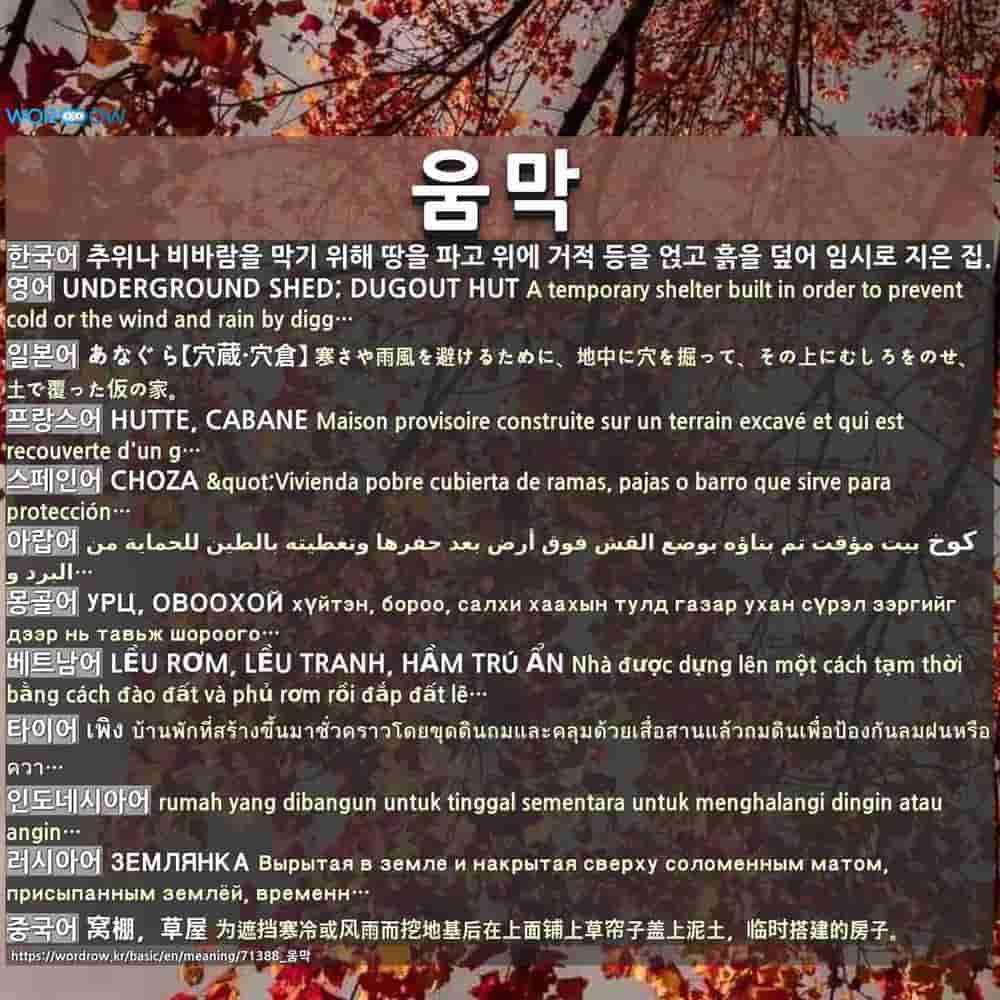 움막 あなぐら 穴蔵 穴倉