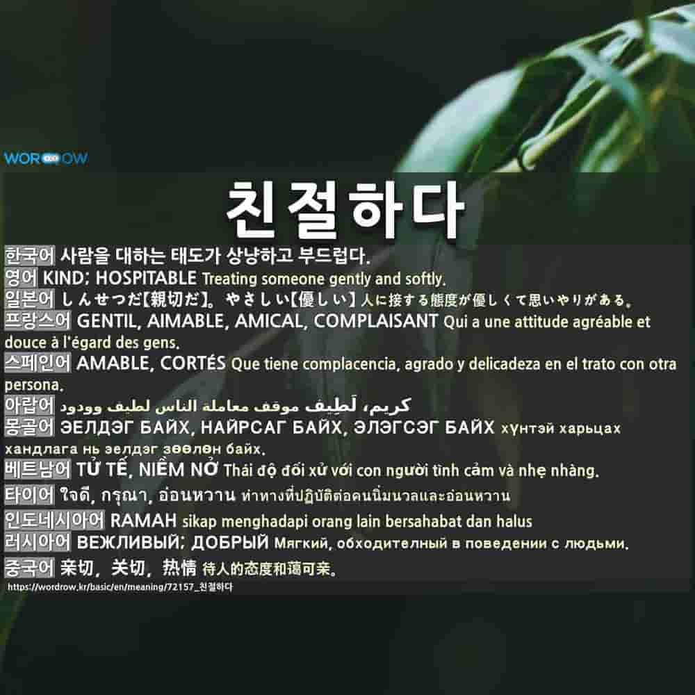 친절하다 しんせつだ 親切だ やさしい 優しい