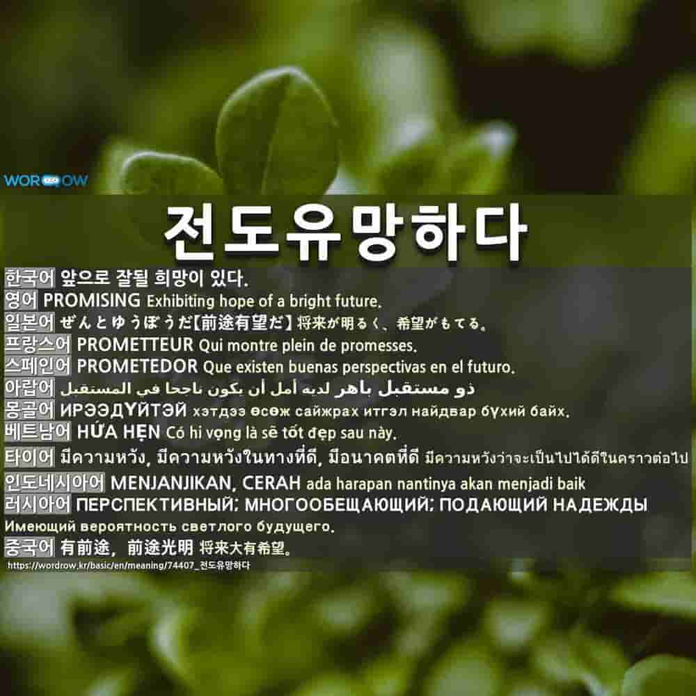전도유망하다 前途有望하다 전도유망하다 前途有望하다