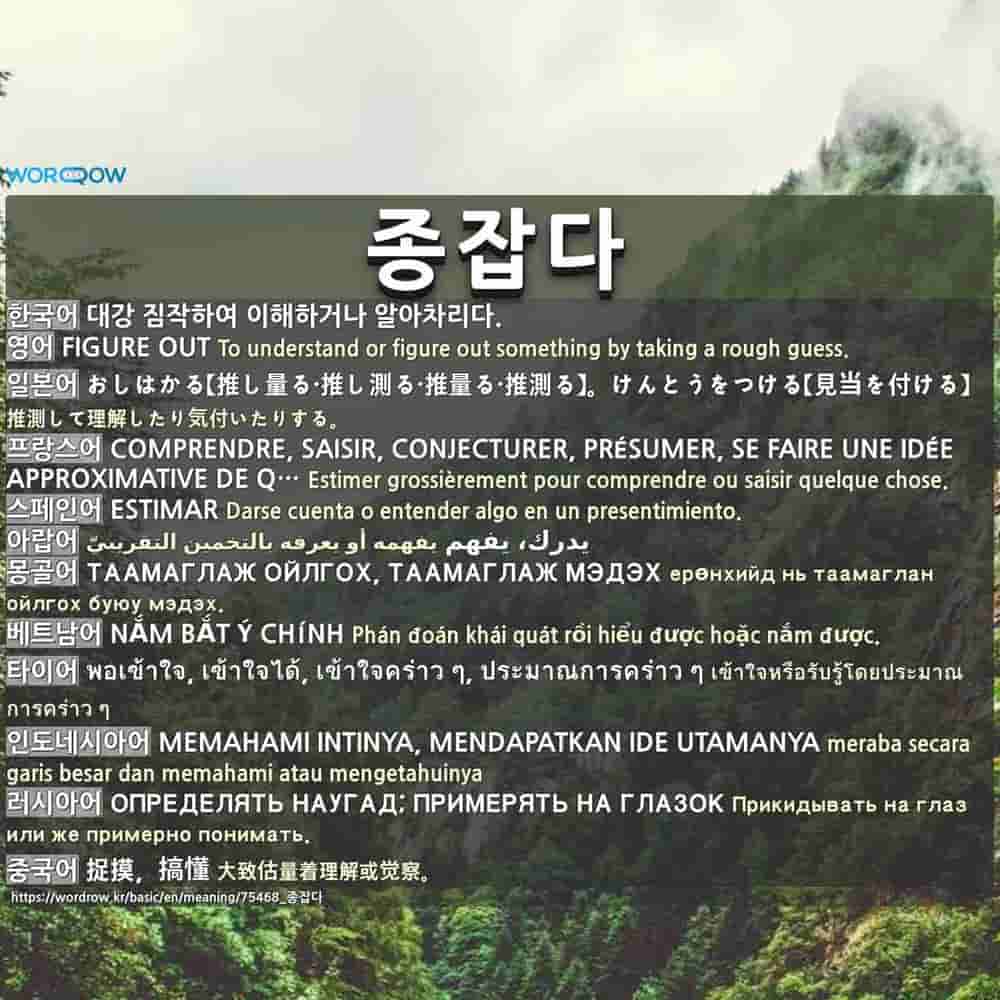 종잡다 Figure Out