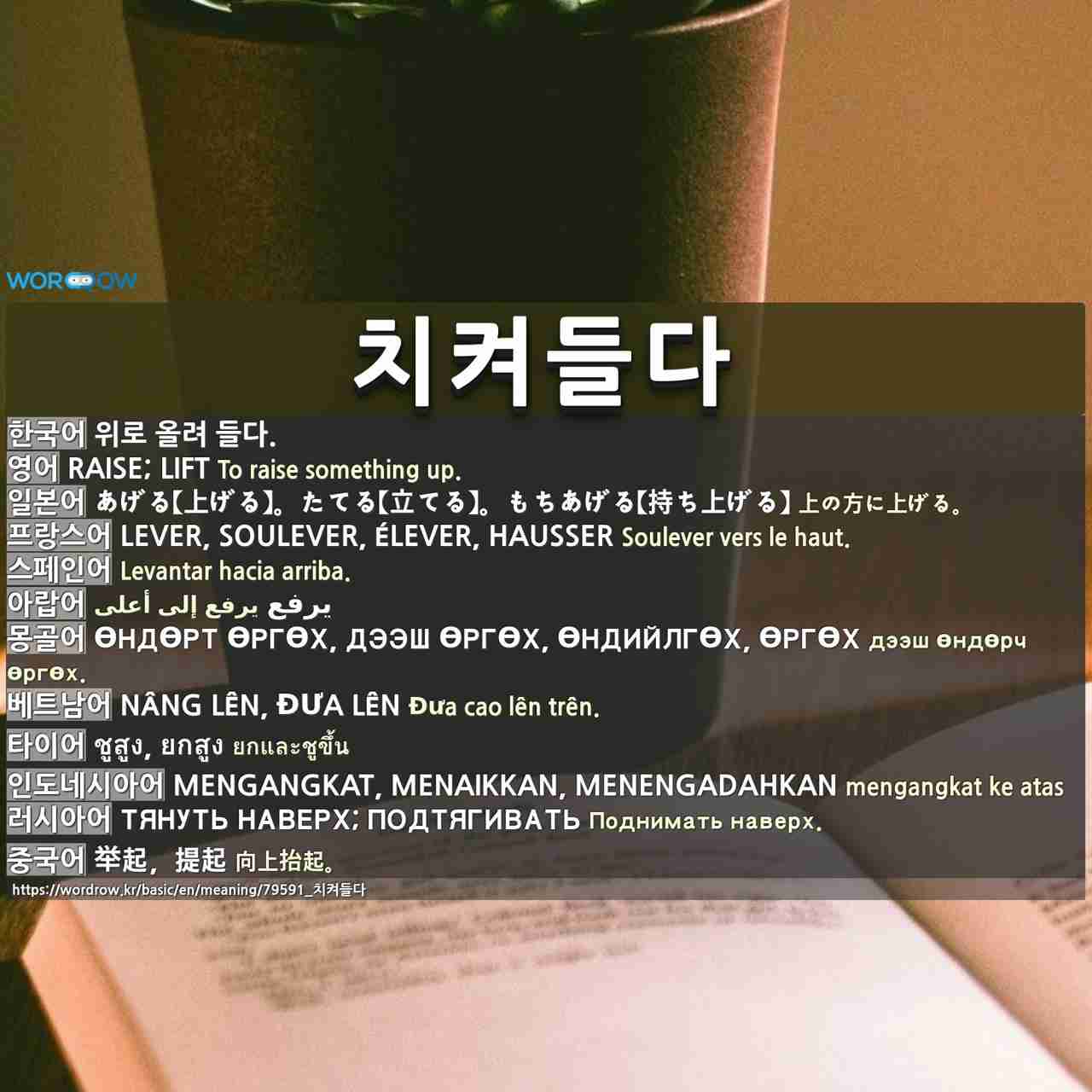 치켜들다 あげる 上げる たてる 立てる もちあげる 持ち上げる