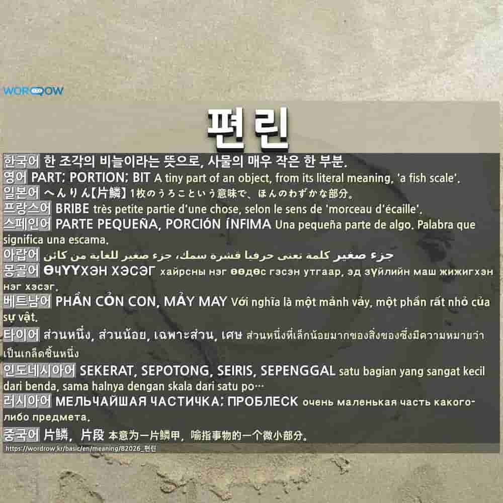 편린 片鱗