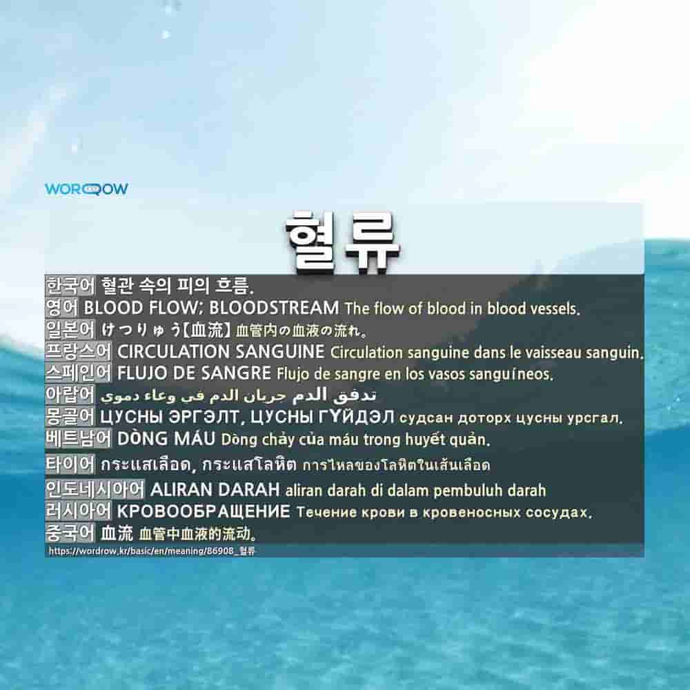 혈류 Blood Flow Bloodstream