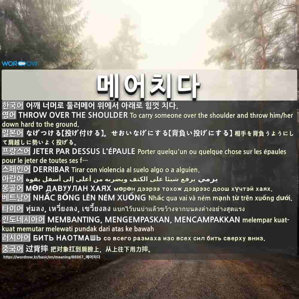 메어치다 なげつける 投げ付ける せおいなげにする 背負い投げにする