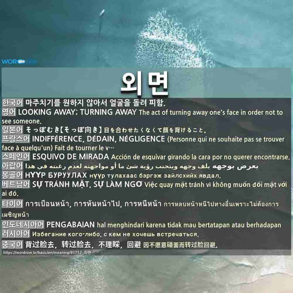 외면 1 そっぽむき そっぽ向き 2 むし 無視 どがいし 度外視