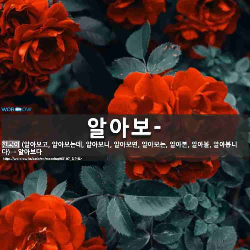 건강지원금 신청 방법 가이드