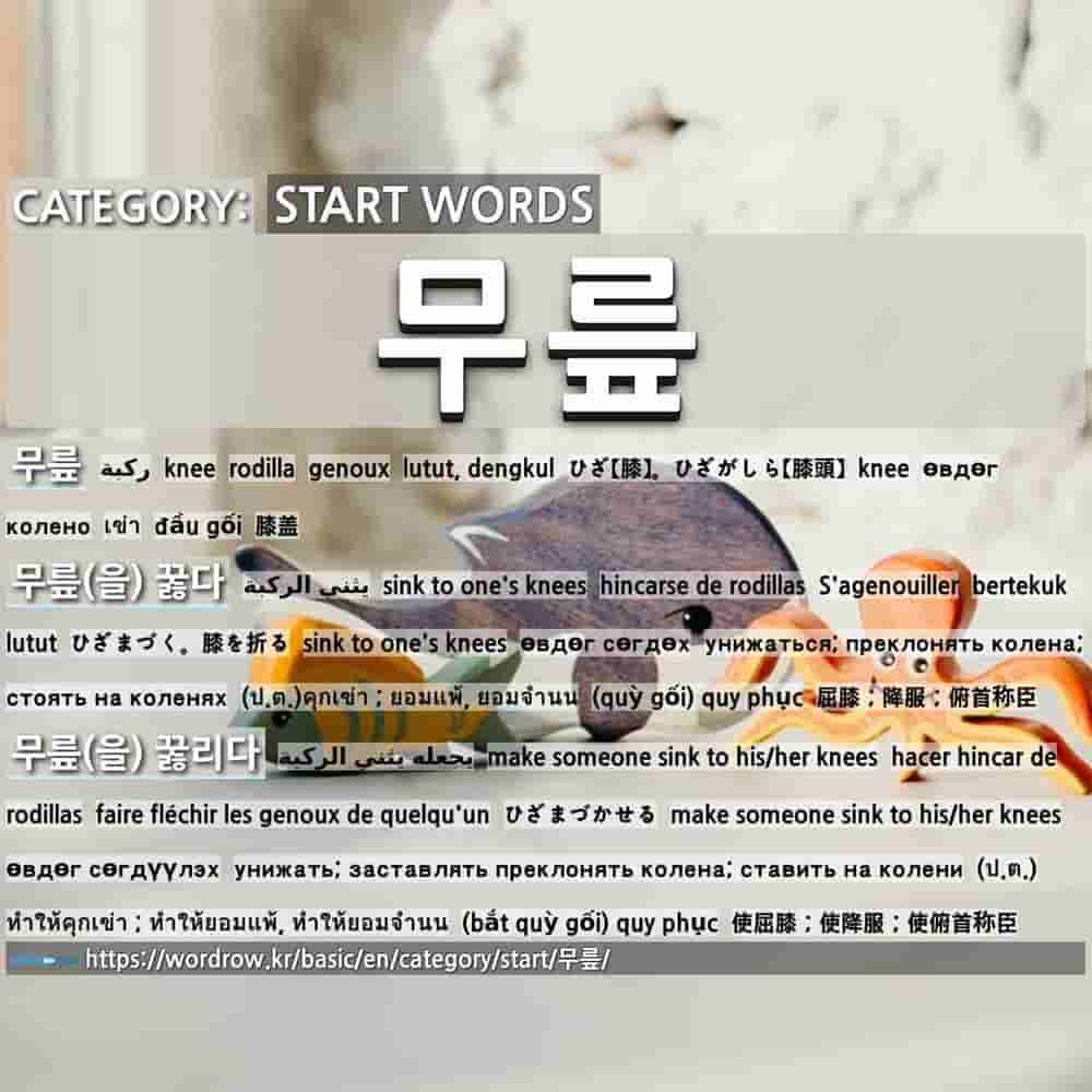Start Words 무릎 1 ひざ 膝 ひざがしら 膝頭 무릎 2 ひざまづく 膝を折る 무릎 을 꿇다 3 ひざまづかせる 무릎 을 꿇리다 4 膝を打つ 膝を叩く 무