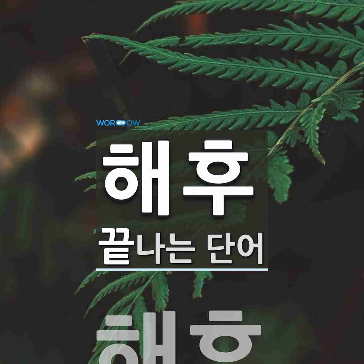 해후로 끝나는 단어는? 1개