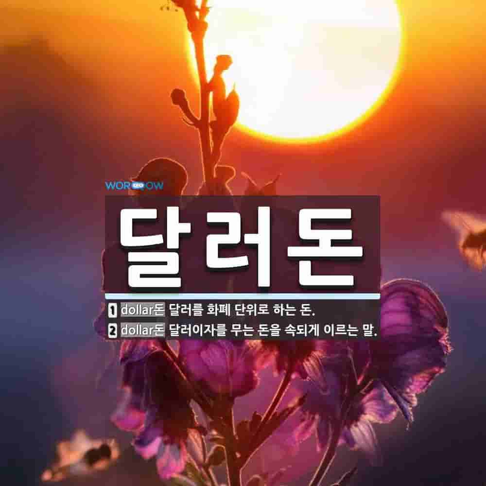 달러돈 뜻: 달러를 화폐 단위로 하는 돈., 달러이자를 무는 돈을 속되게 이르는 말. [국어 사전]