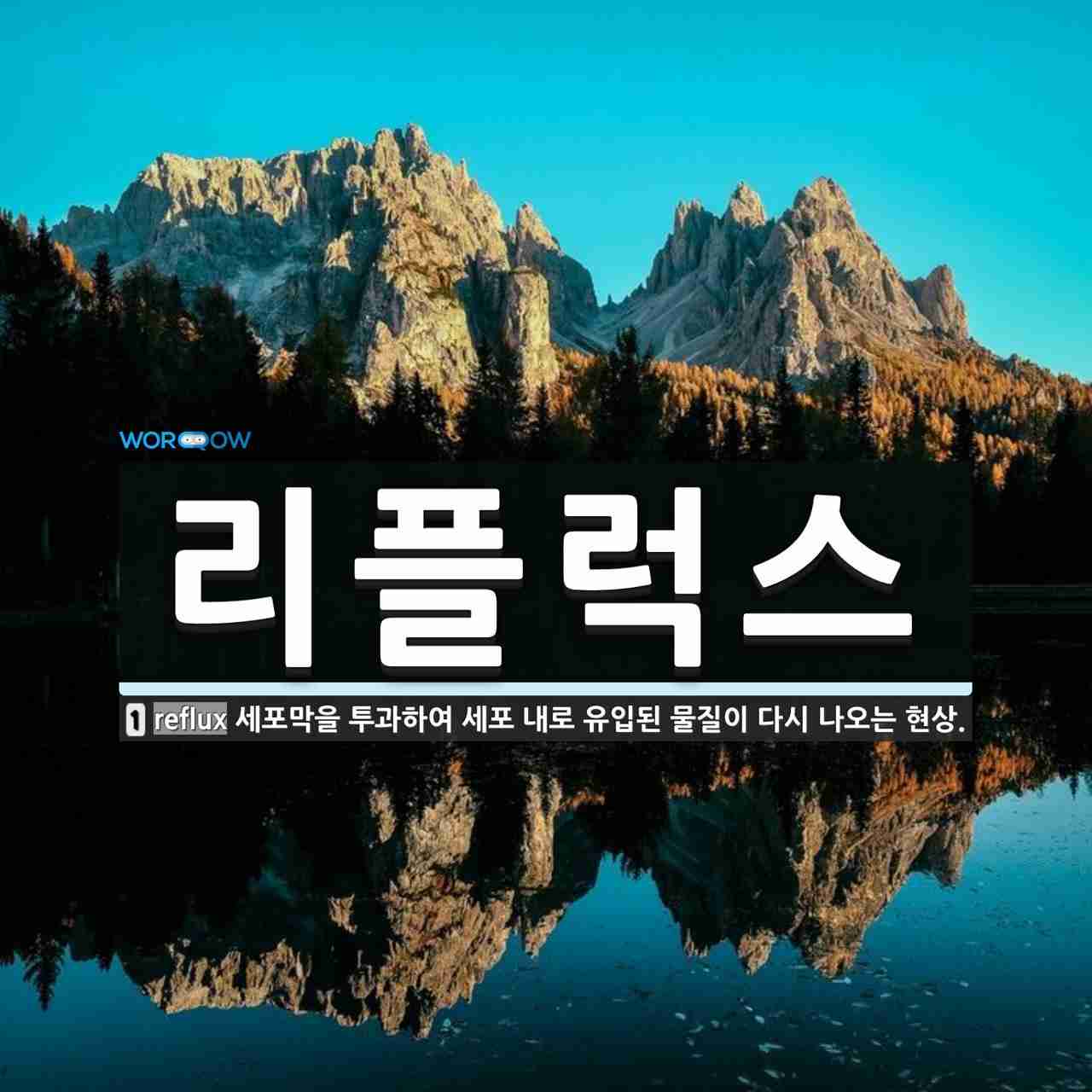 리플럭스 뜻: 세포막을 투과하여 세포 내로 유입된 물질이 다시 나오는 현상.