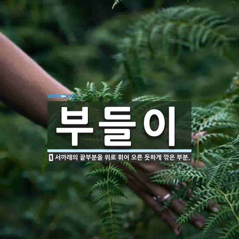 부들이 뜻: 서까래의 끝부분을 위로 휘어 오른 듯하게 깎은 부분.