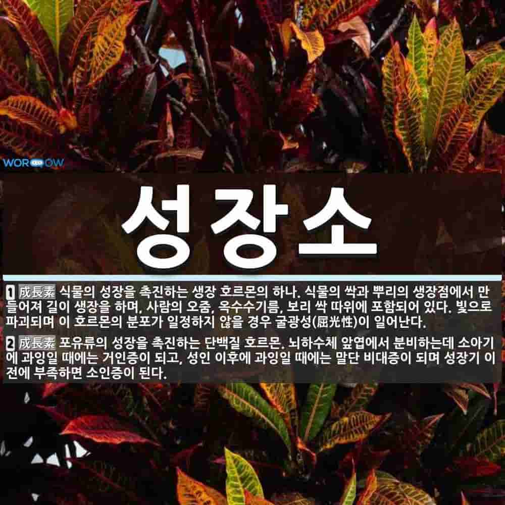 성장소 뜻