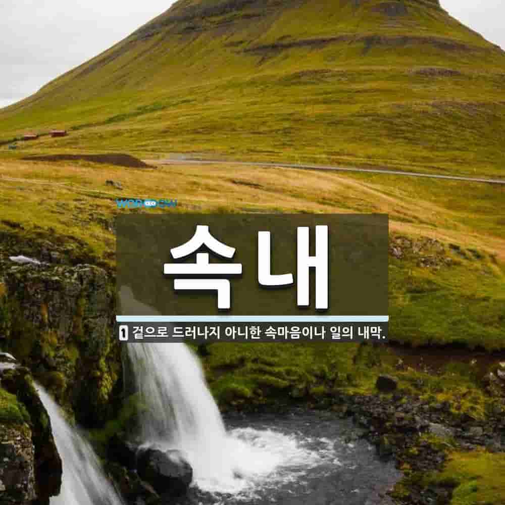 속내를 읽다 이미지