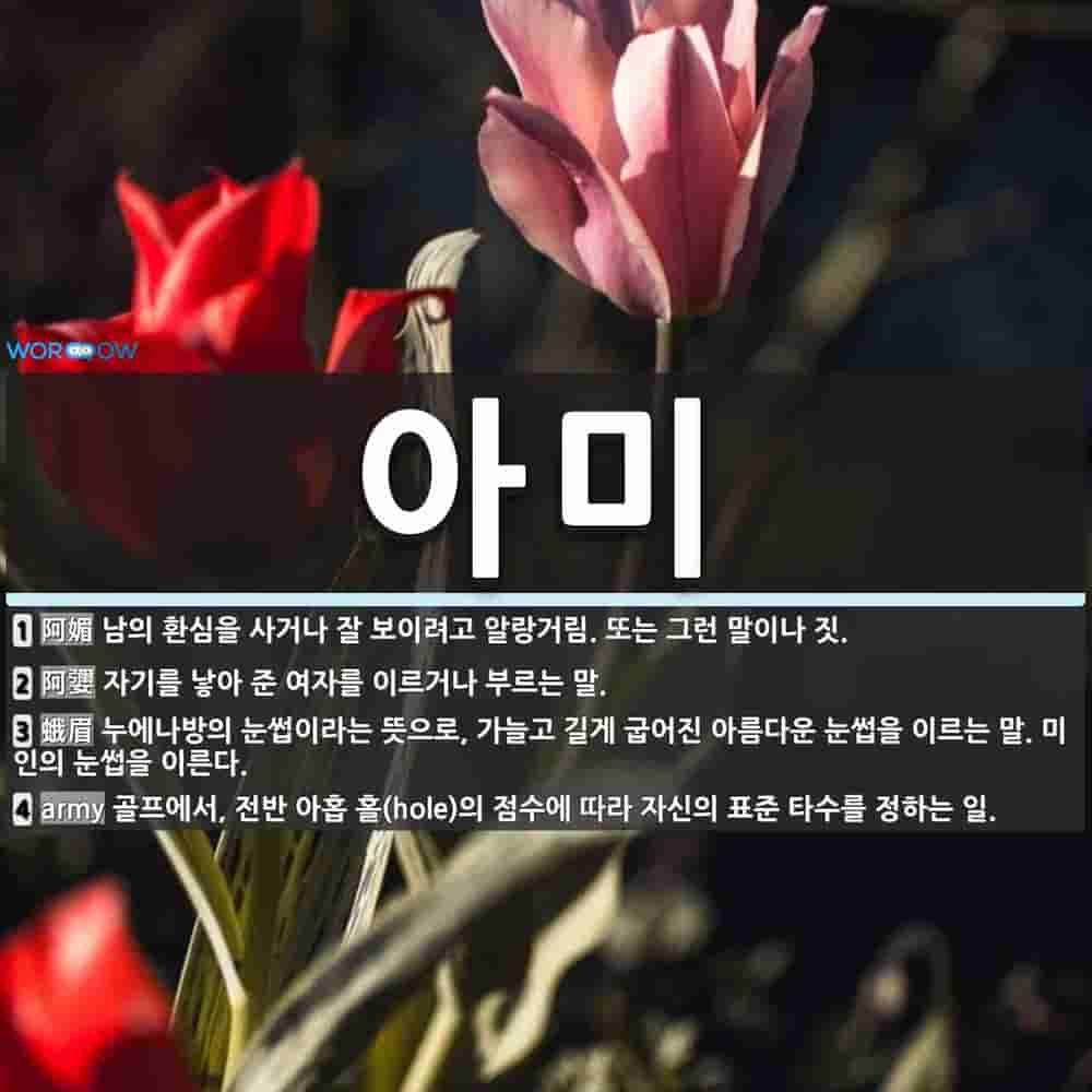 아미 뜻: 남의 환심을 사거나 잘 보이려고 알랑거림. 또는 그런 말이나 짓., 자기를 낳아 준 여자를 [국어 사전]