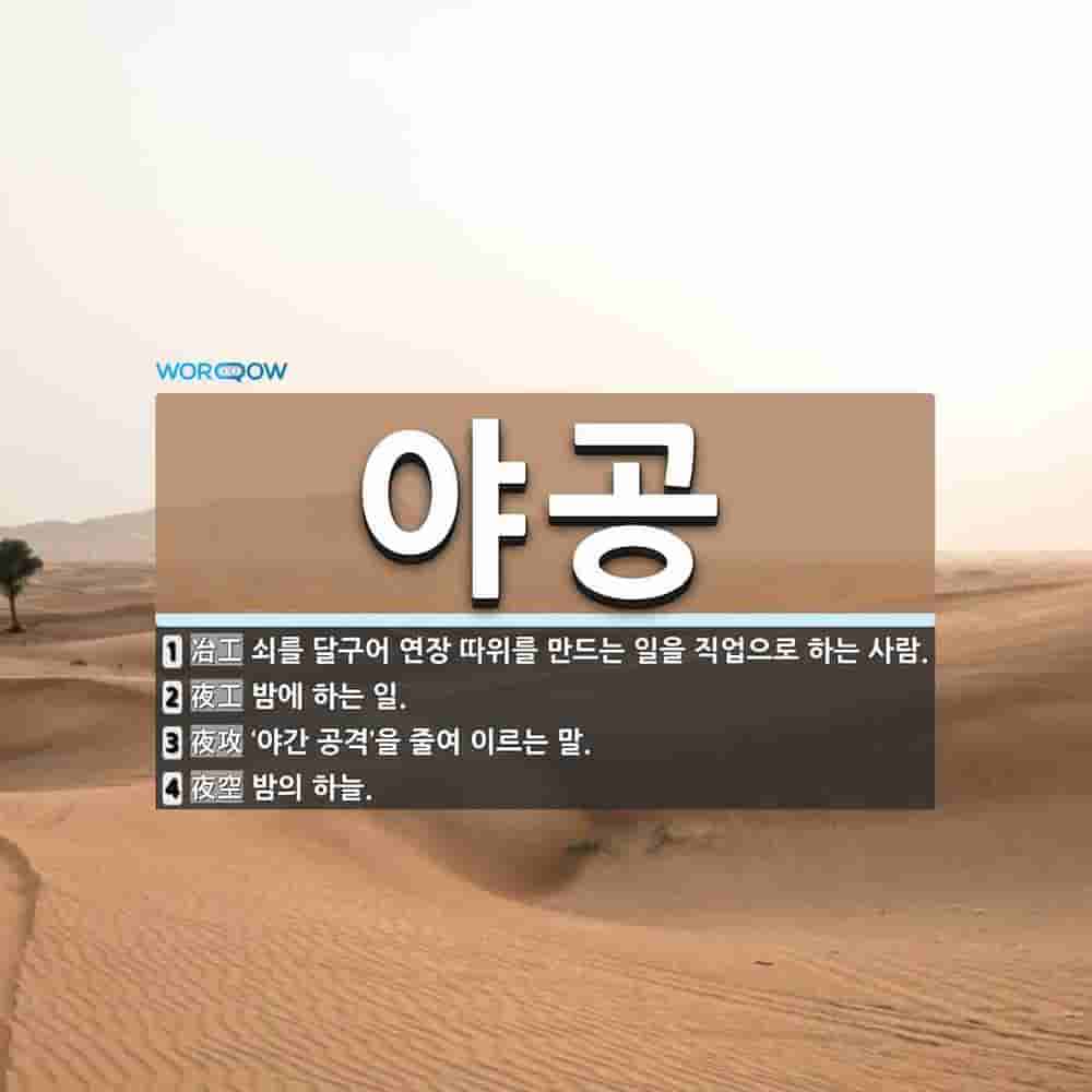 야공 뜻: 쇠를 달구어 연장 따위를 만드는 일을 직업으로 하는 사람., 밤에 하는 일., '야간 공격 [국어 사전]