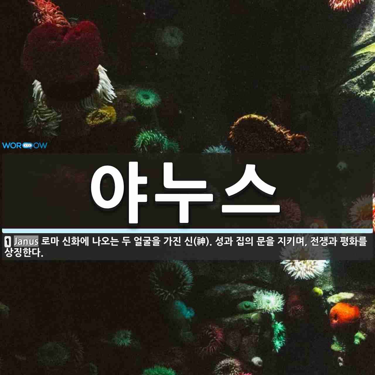 야누스 뜻: 로마 신화에 나오는 두 얼굴을 가진 신(神). 성과 집의 문을 지키며, 전쟁과 평화를 상징