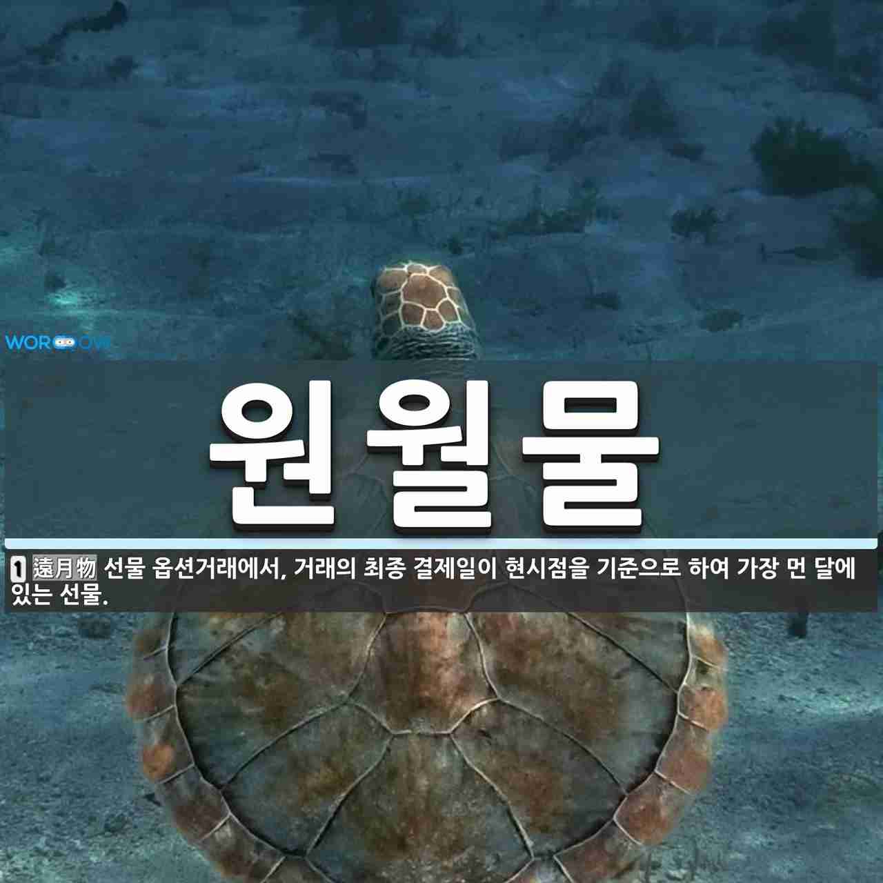 원월물 뜻: 선물 옵션거래에서, 거래의 최종 결제일이 현시점을 기준으로 하여 가장 먼 달에 있는 선물.