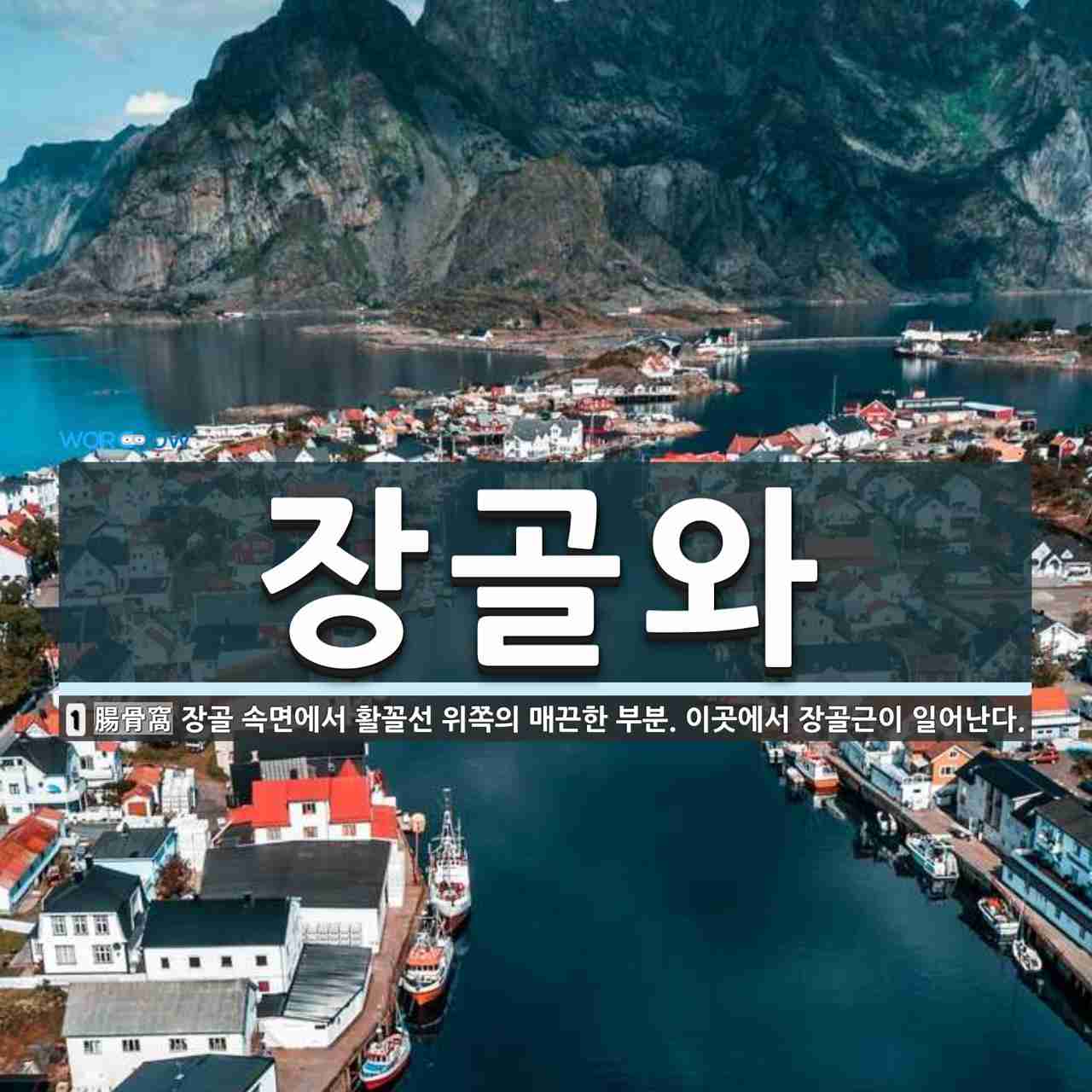 장골와 뜻