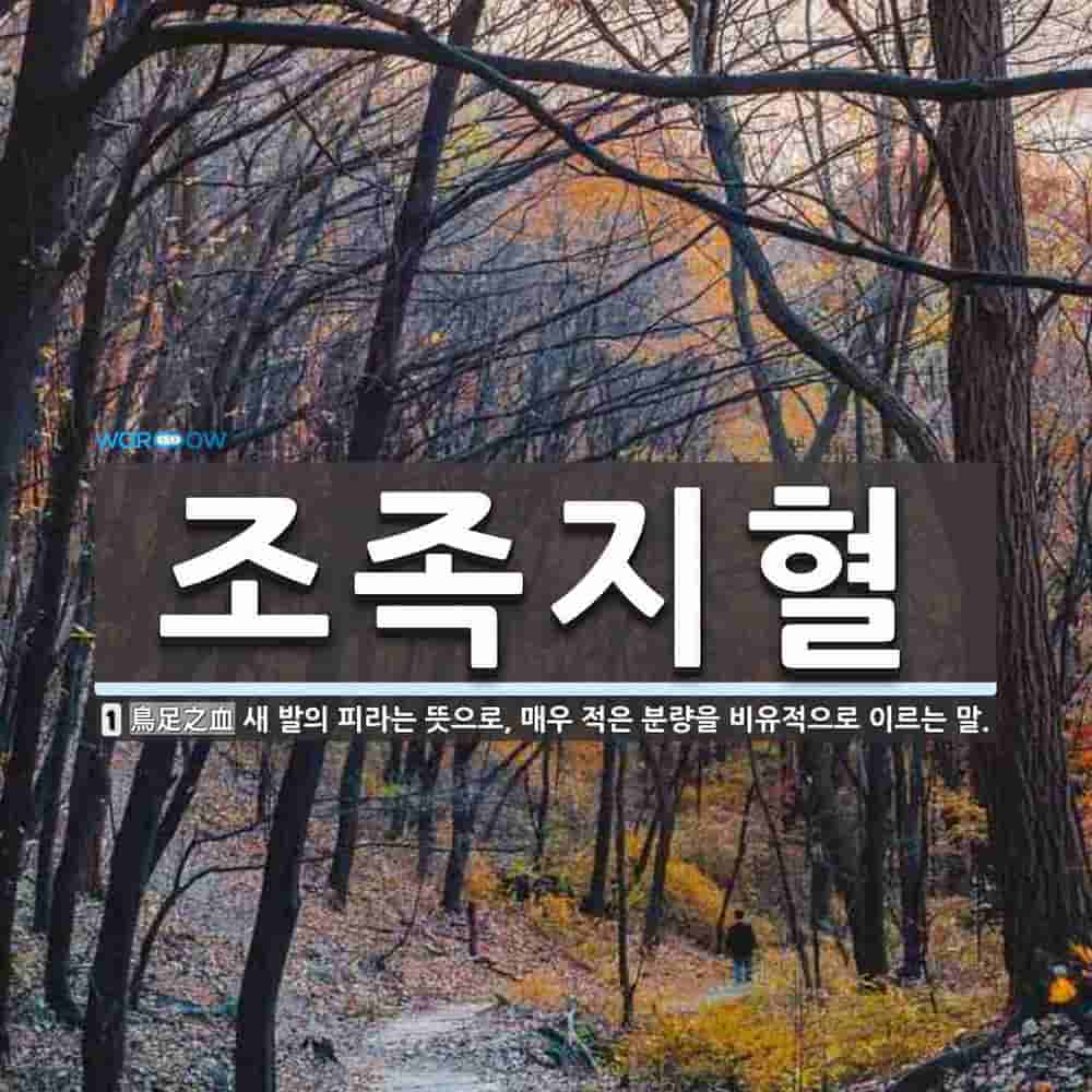조족지혈 사자성어