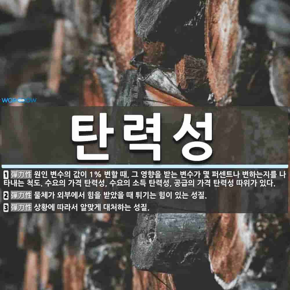 탄력성 뜻: 원인 변수의 값이 1% 변할 때, 그 영향을 받는 변수가 몇 퍼센트나 변하는지를 나타내는 [국어 사전]