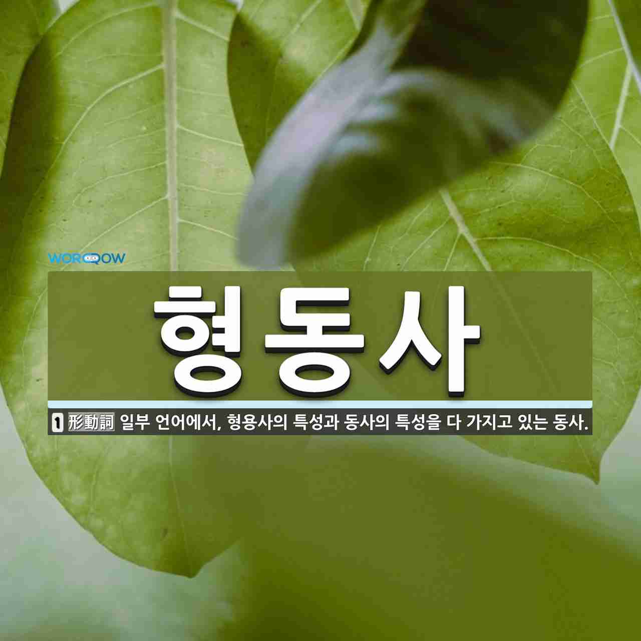 형동사 뜻: 일부 언어에서, 형용사의 특성과 동사의 특성을 다 가지고 있는 동사.