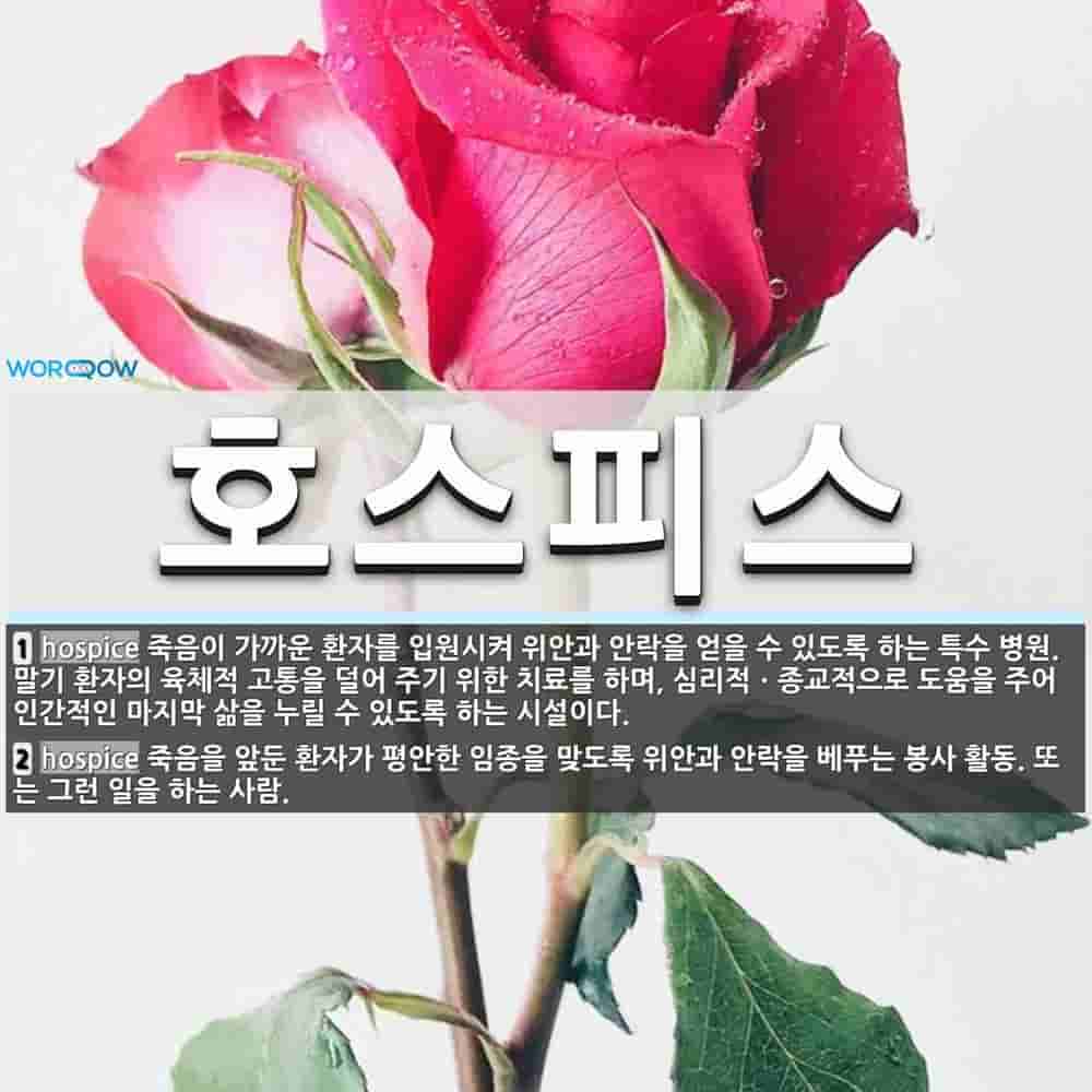 호스피스 뜻: 죽음이 가까운 환자를 입원시켜 위안과 안락을 얻을 수 있도록 하는 특수 병원. 말기 환자의 [국어 사전]