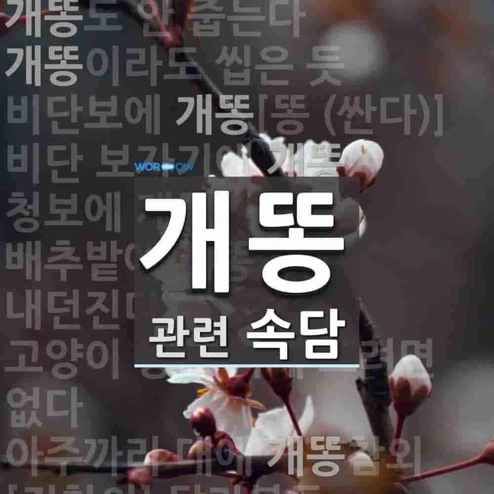 카르다노의 공식 뜻: 삼차 방정식의 근을 구하는 공식. 이탈리아의 수학자 타르탈리아가 먼저 발견하였으나, 책을