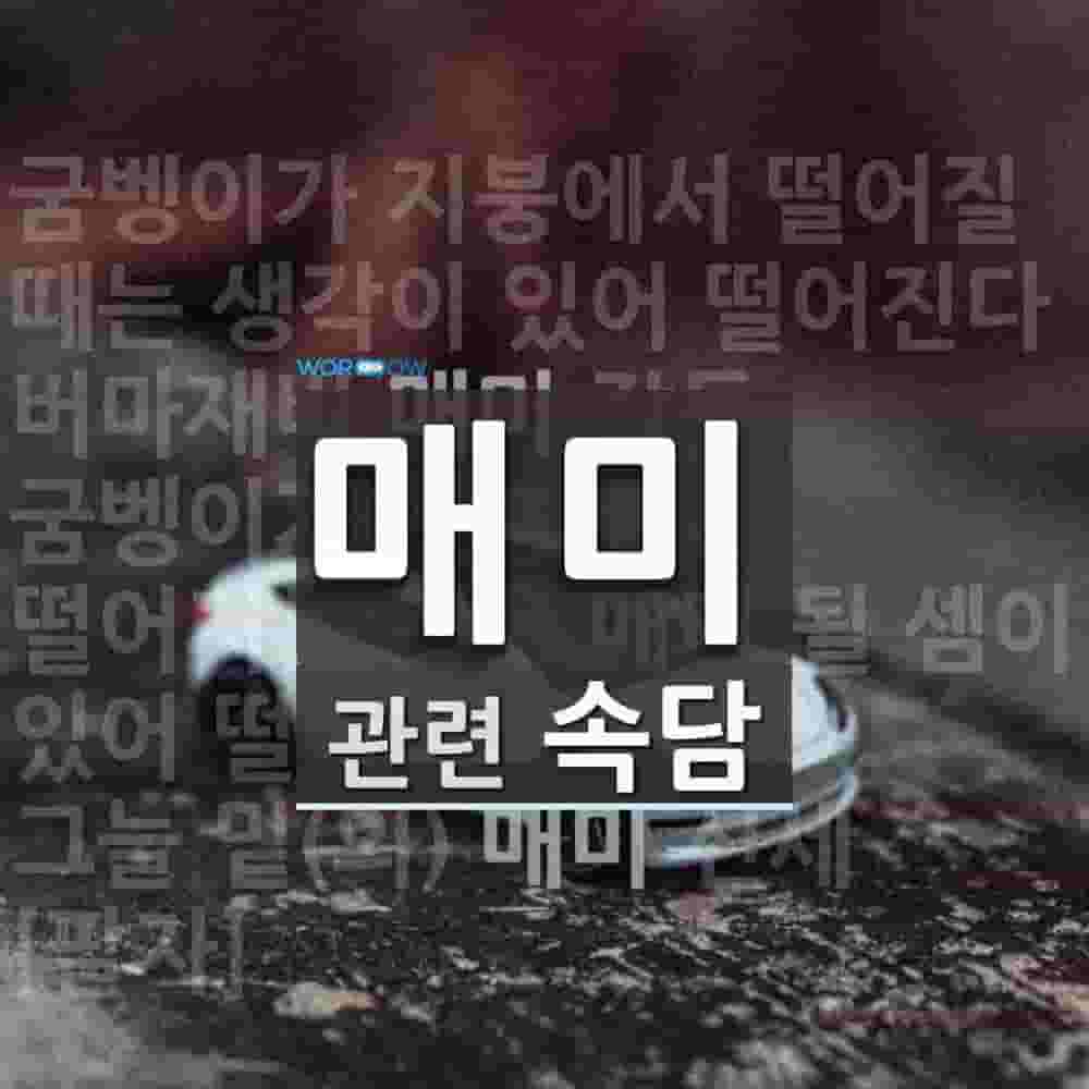 노스케 뜻: 구스타프 노스케, 독일의 정치가(1868~1946). 1918년 독일 혁명 때에 킬 군항의