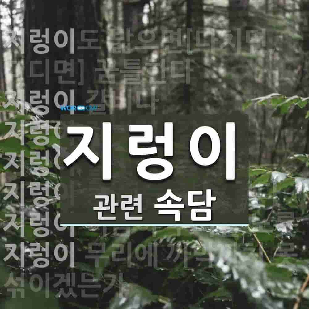 카르다노의 공식 뜻: 삼차 방정식의 근을 구하는 공식. 이탈리아의 수학자 타르탈리아가 먼저 발견하였으나, 책을