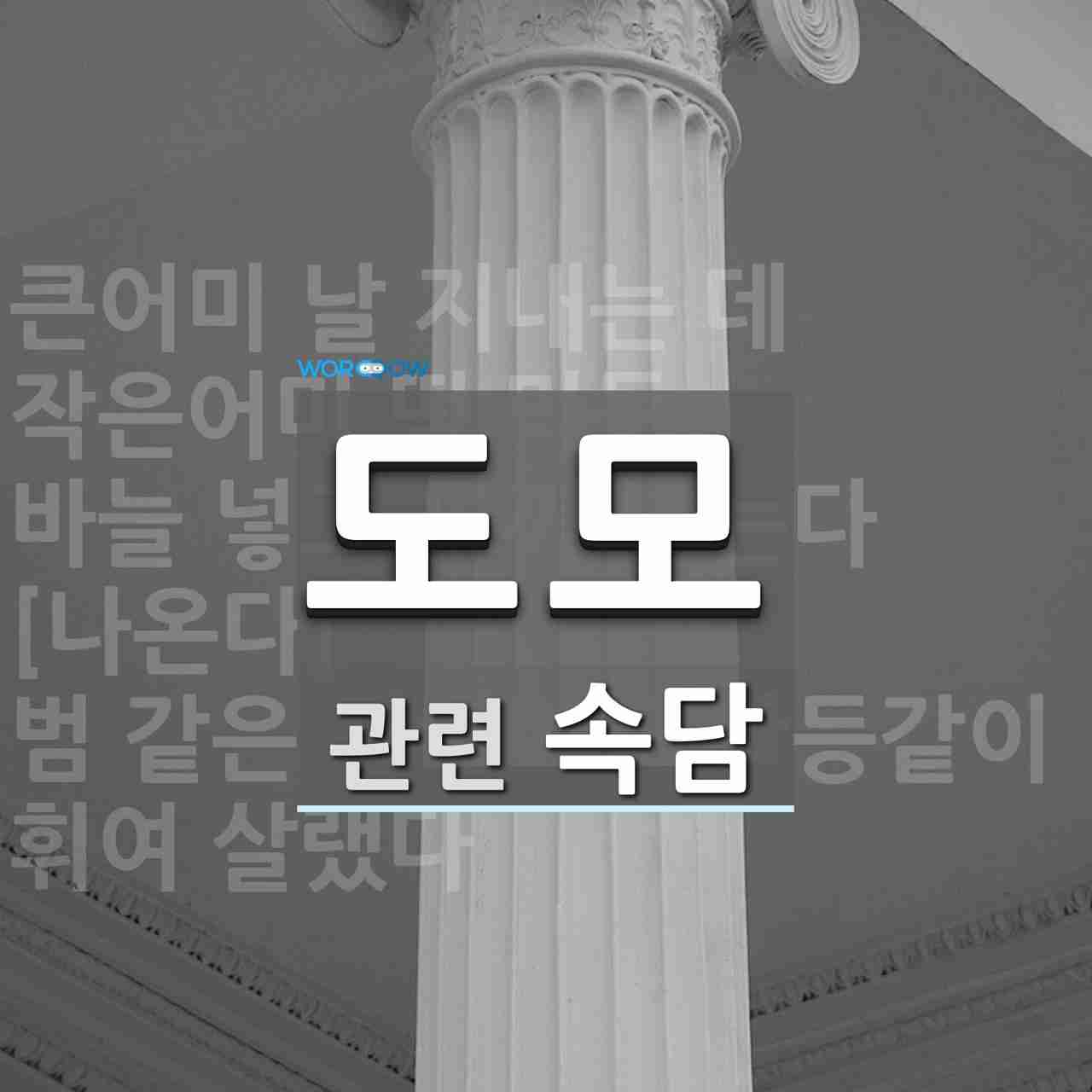 도모에 관한 속담